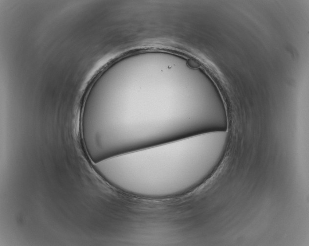 X0000113851224200909240958
