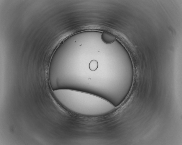 X0000113851225200909240958