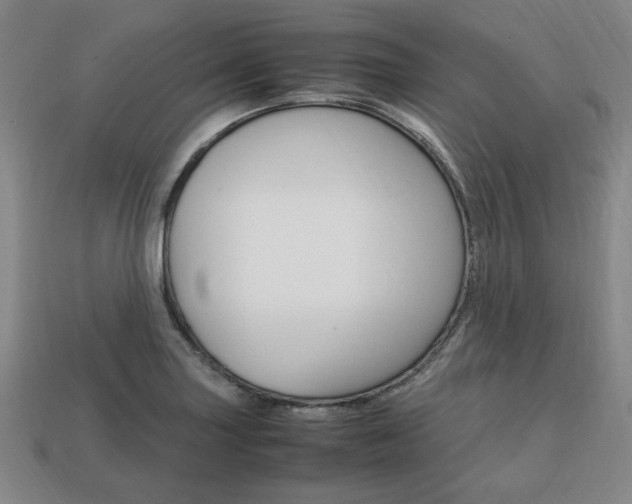 X0000113851227200909240958
