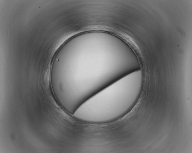 X0000113851228200909240958