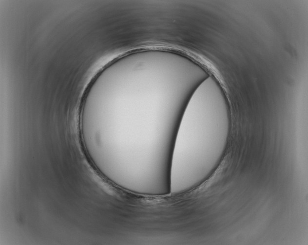 X0000113851231200909240958