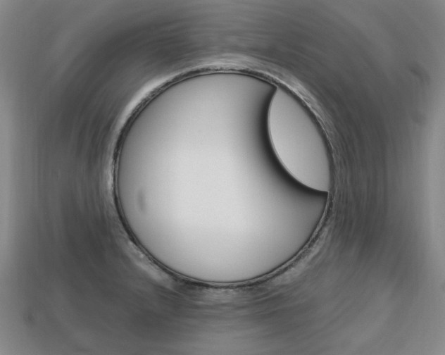X0000113851232200909240958