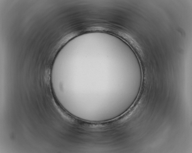 X0000113851233200909240958