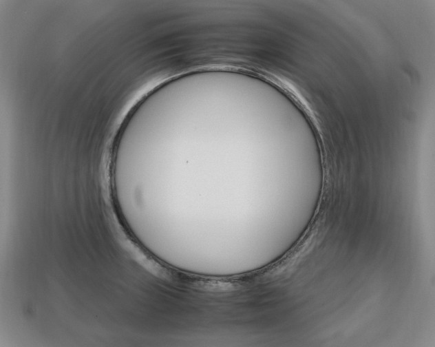 X0000113851235200909240958