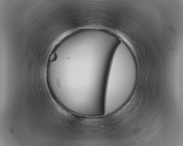 X0000113851237200909240958