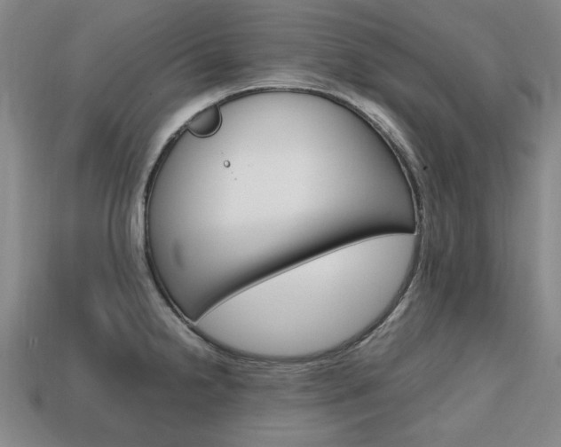 X0000113851238200909240958