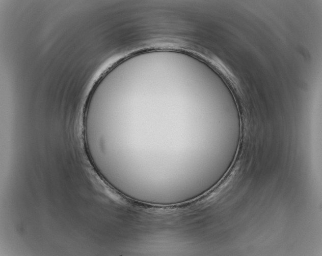X0000113851240200909240958