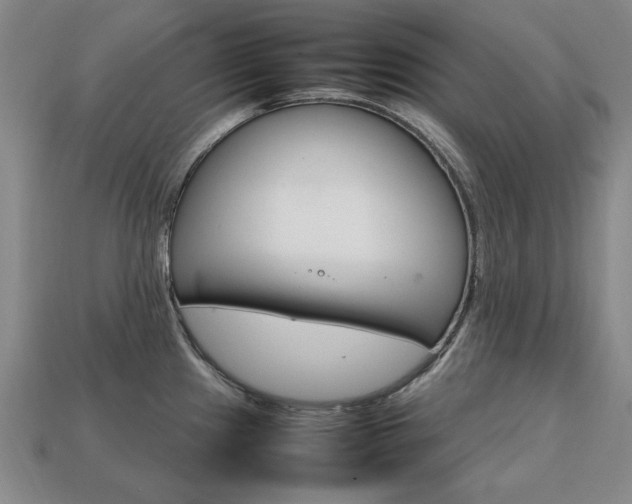 X0000113851241200909240958