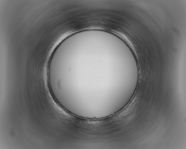 X0000113851243200909240958