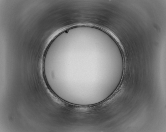 X0000113851245200909240958