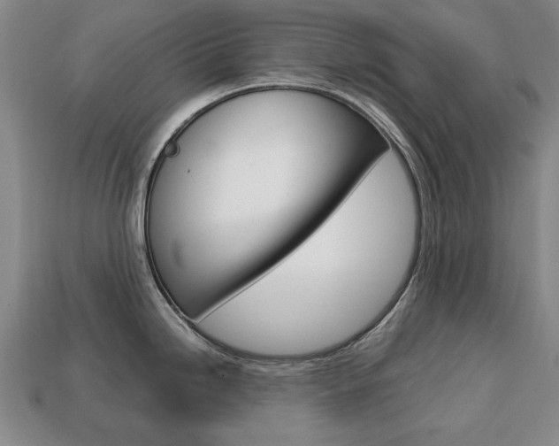 X0000113851246200909240958