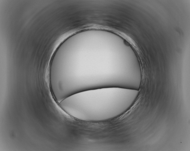 X0000113851247200909240958