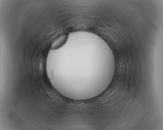 X0000113851250200909240957