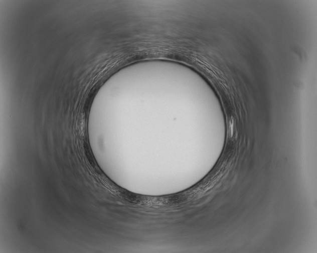 X0000113851251200909240957