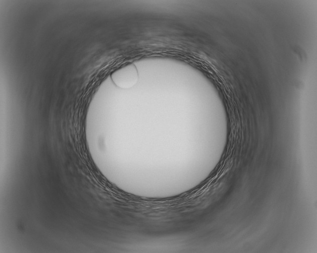X0000113851253200909240957