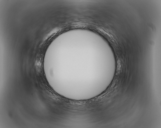 X0000113851254200909240957