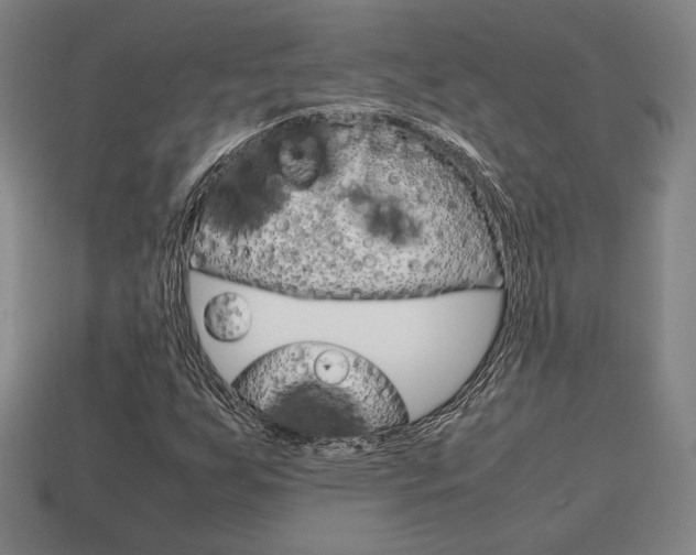 X0000113851255200909240957
