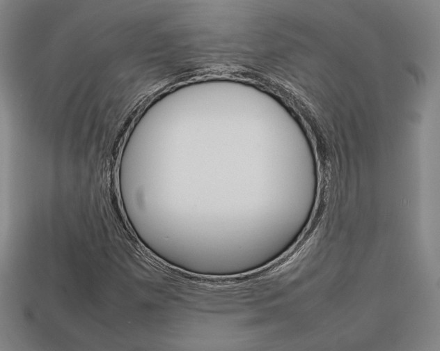 X0000113851257200909240957