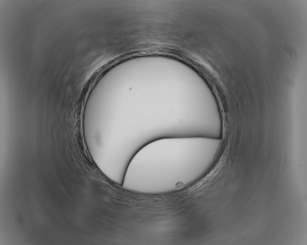 X0000113851259200909240957