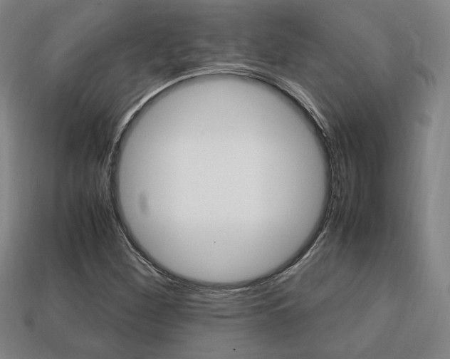 X0000113851260200909240957