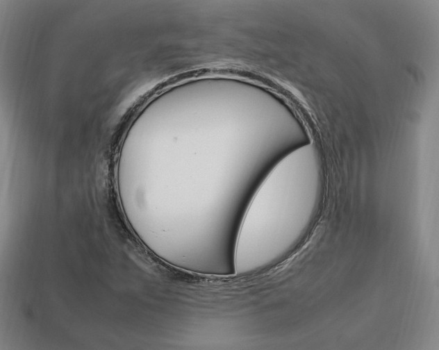 X0000113851263200909240957