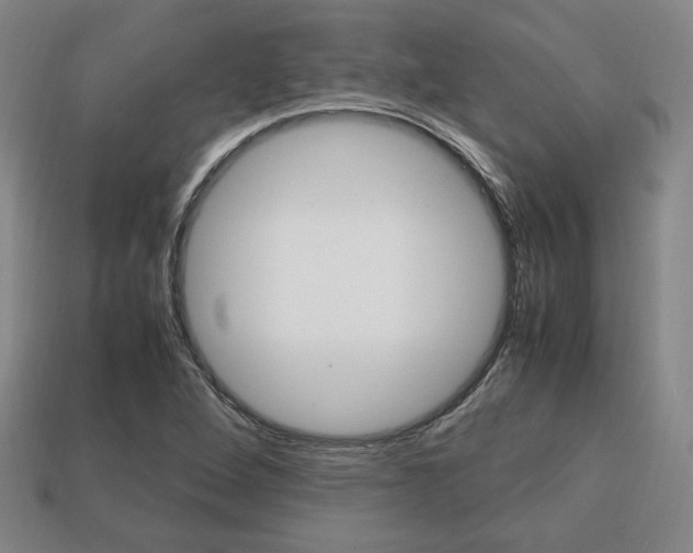 X0000113851264200909240957