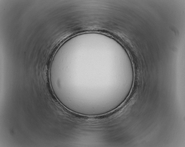 X0000113851265200909240957