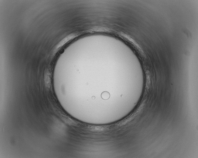 X0000113851266200909240957