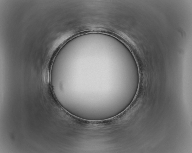 X0000113851269200909240957