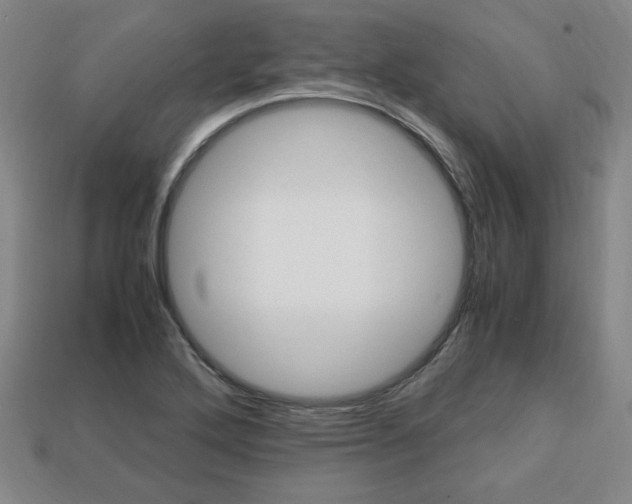 X0000113851272200909240957