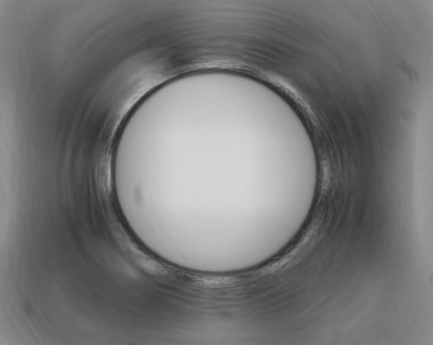 X0000113851274200909240957