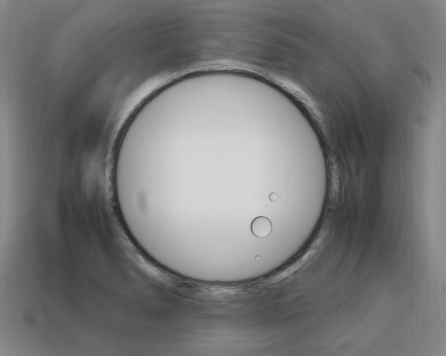 X0000113851278200909240957