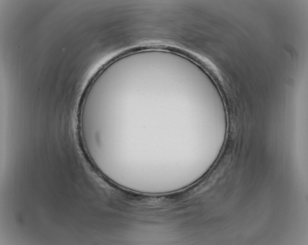 X0000113851279200909240957