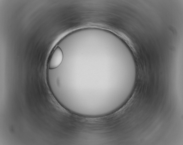 X0000113851280200909240957
