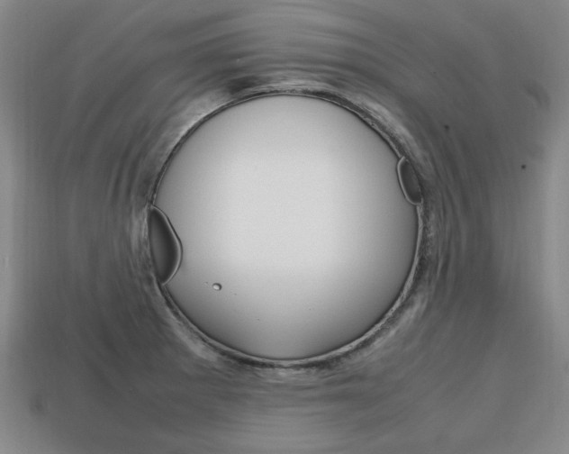 X0000113851281200909240957