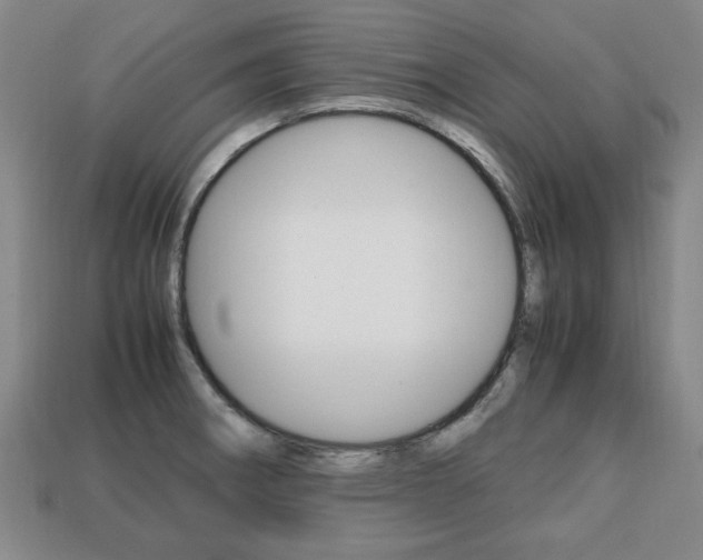 X0000113851282200909240957