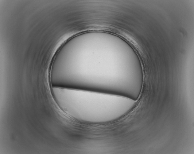 X0000113851283200909240957