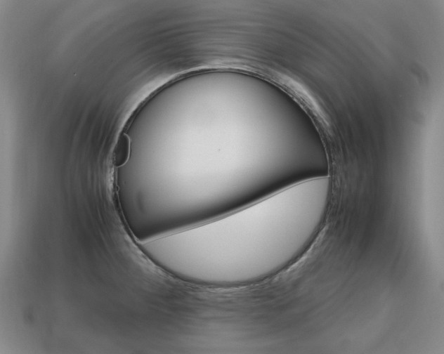 X0000113851284200909240957