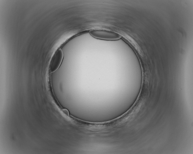 X0000113851285200909240957