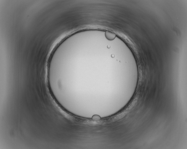 X0000113851286200909240957