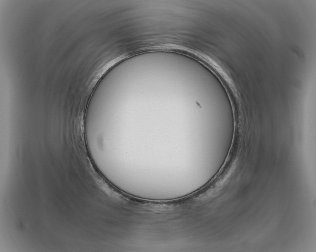 X0000113851289200909240957