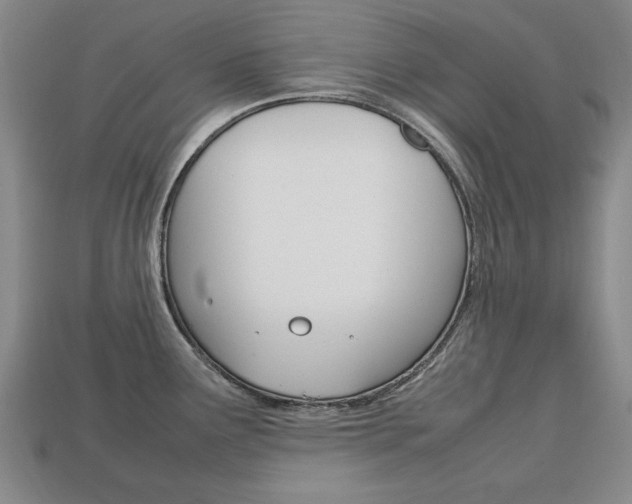 X0000113851291200909240957