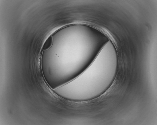 X0000113851292200909240956