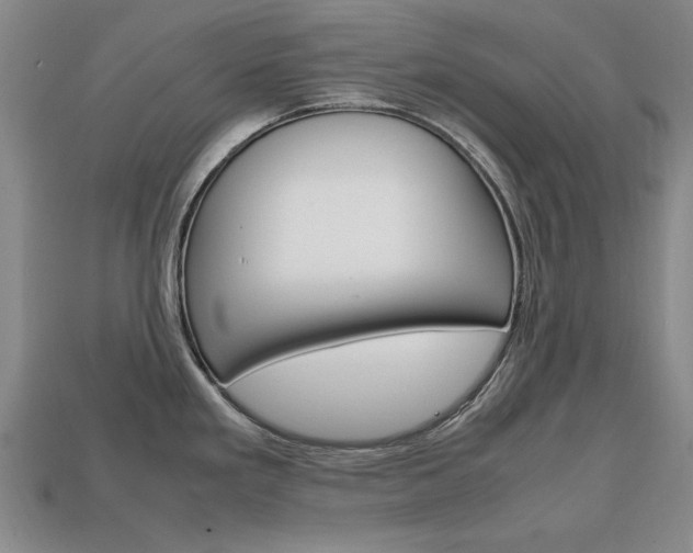 X0000113851293200909240956