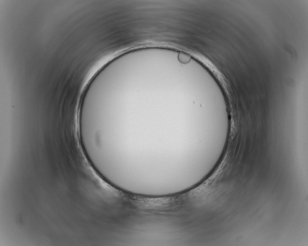 X0000113851294200909240956
