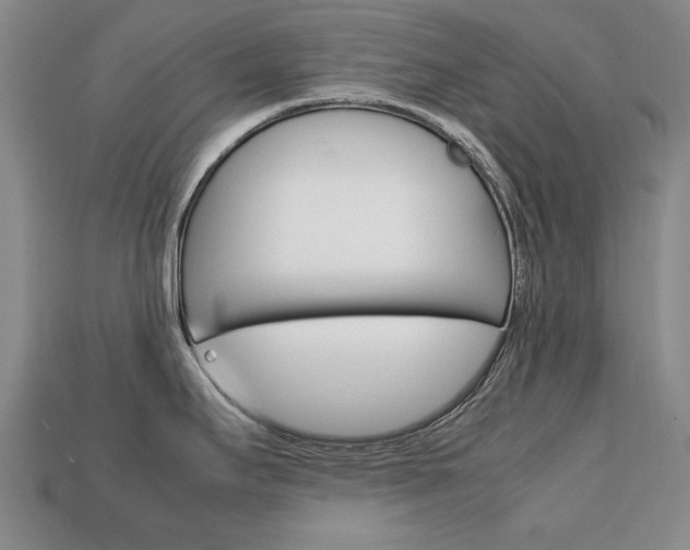X0000113851295200909240956