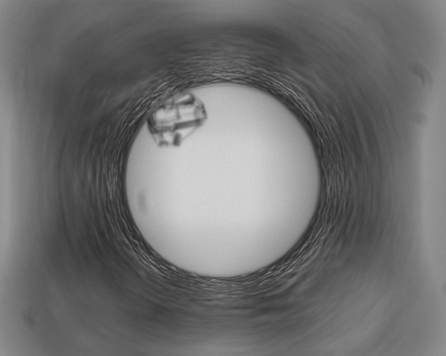 X0000113851298200909240956