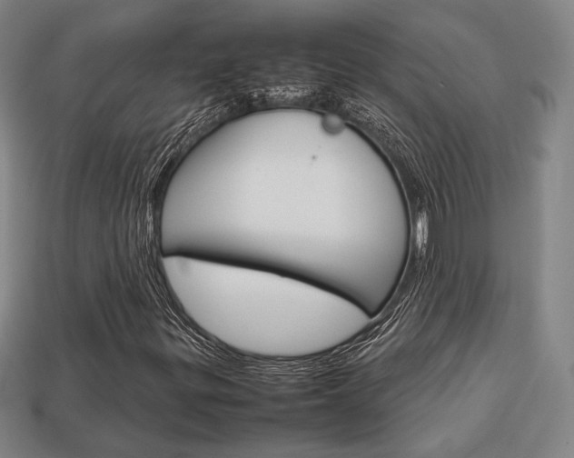 X0000113851299200909240956