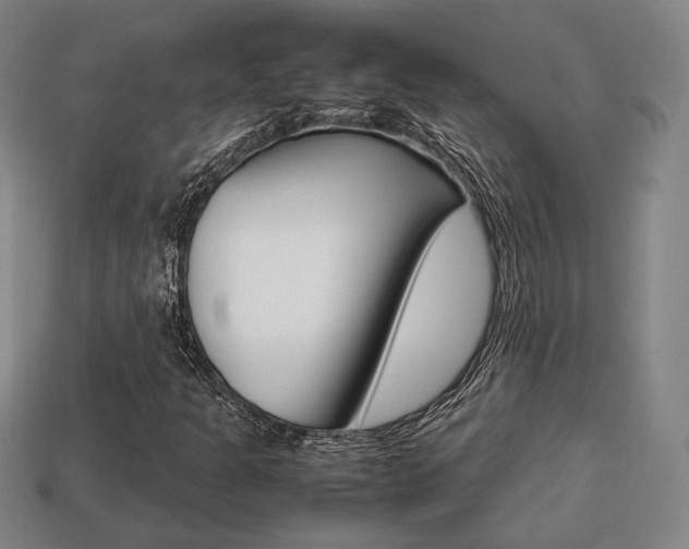 X0000113851301200909240956
