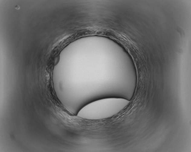 X0000113851302200909240956